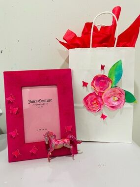 Pink pony velvet frame set
